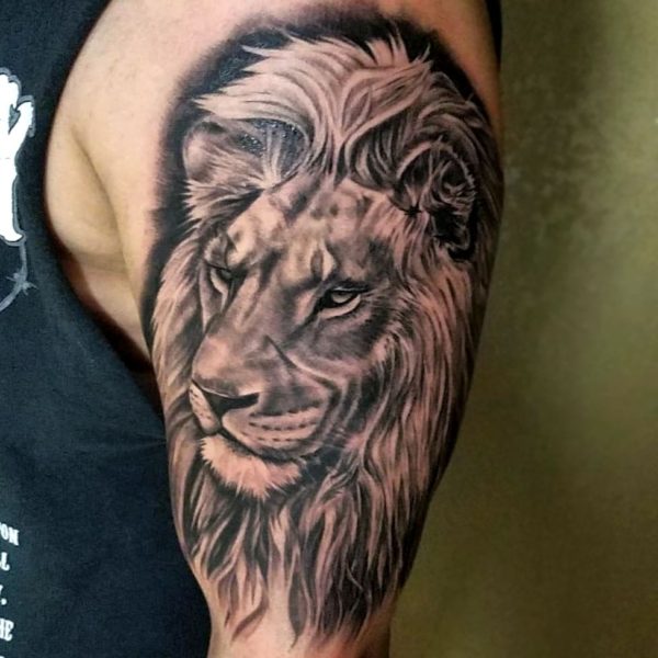 Brandon: Realism Lion